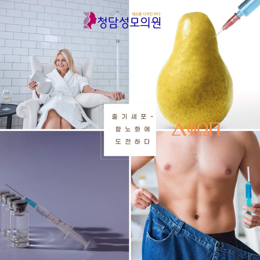 VIP 줄기세포 치료 패키지