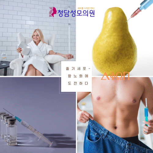 VIP 줄기세포 치료 패키지