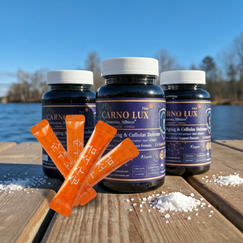 BESTN CARNO FLUX Premium subscription