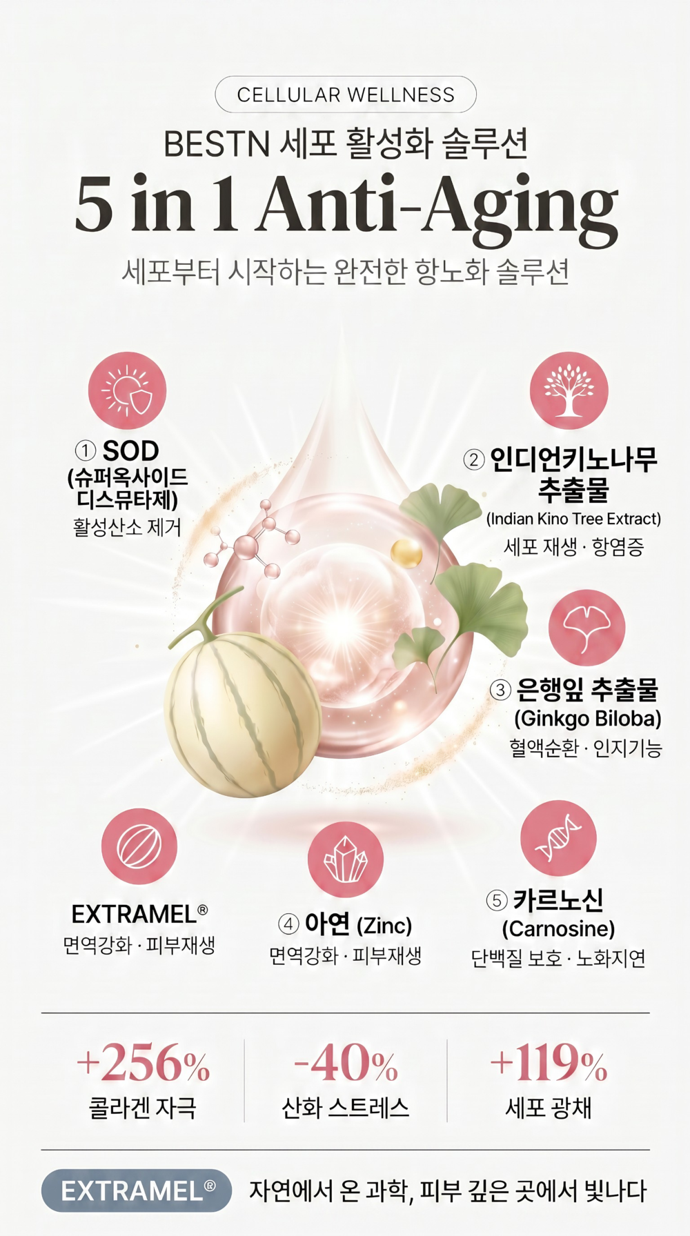 BESTN CARNO FLUX Premium subscription