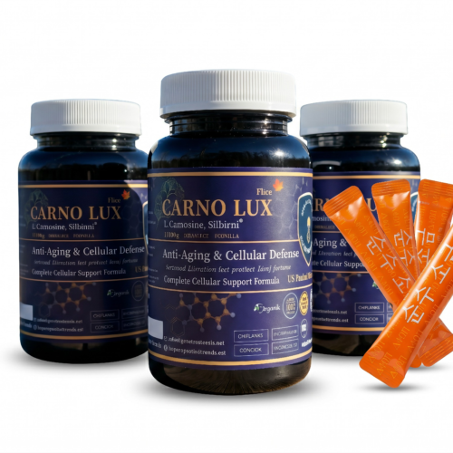 BESTN CARNO FLUX Premium subscription